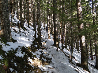 Snow on Mt. Si trail above 3 mile marker.