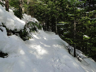 Snow on Mt Si trail below 3.5 mile marker.