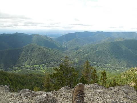 Looking out the Satsop River drainage