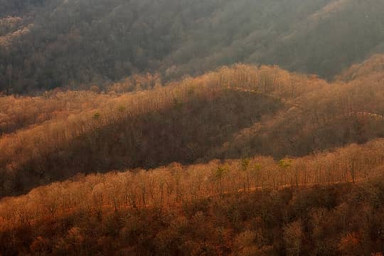 Jefferson National Forest, Virginia (Feb 26, 2023)