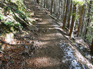 First hints of snow past 2 mile mark on Mt. Si trail.