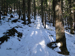 Snowy Mt Si trail past 3 mile marker.