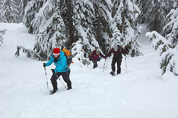 Santa and her elves ascend the snowshoe track