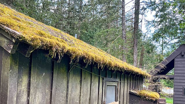 Ranger cabin roof
