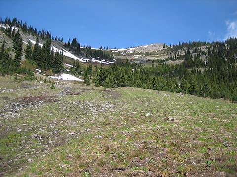 looking back up to Royal Mtn