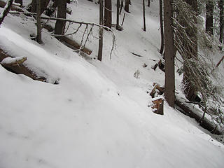 Snow covers the trail