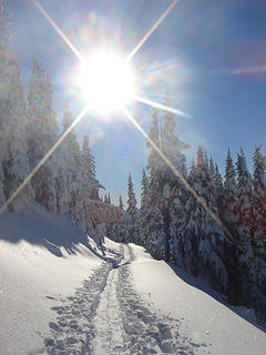 Snowshoeing into the sun