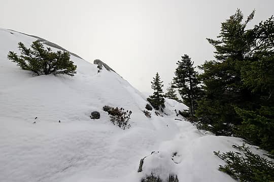 1- Snowy northeast ridge, just past the intersection of the Cascade Link and Pumpelly Trail