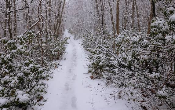 6- Appalachian Trail