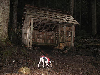 Rowena at Tunnel Creek Shelter
