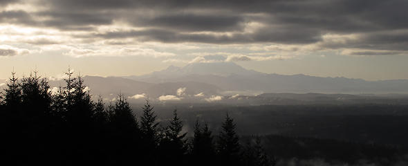 Morning pan view of Rainier from Poo 3 Tiger Mtn Summits, From chirico, through Poo top, 01/22/11