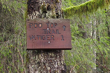Proof the trail is actually called that 3 Tiger Mtn Summits, From chirico, through Poo top, 01/22/11