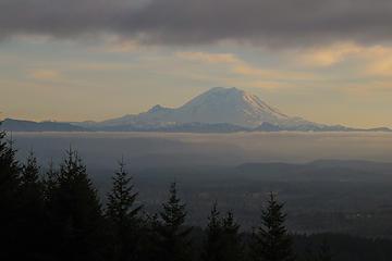 Mt Rainier in the afternoon from Poo Poo point. 3 Tiger Mtn Summits, From chirico, through Poo top, 01/22/11