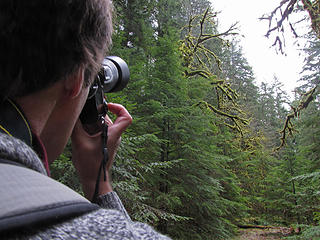 Photographing mossy trees