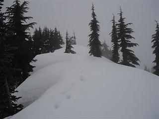 Looking West along summit ridge