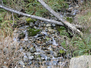 Little waterfall shortly up Tiger road.