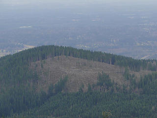 The logged slopes of South Tiger from East Tiger.