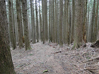 Heading down the steep back trail from East Tiger.