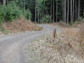 Three mile marker on main Tiger road.