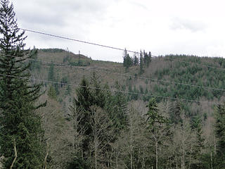 Looking back toward Taylor Mountain from power lines.