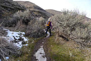 Icy trail in the side canyon on the route to the ridge