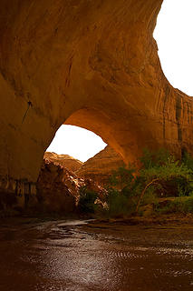 Jacob Hamlin Arch