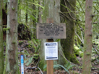 Taking the Tiger Mountain Trail (TMT) up to West Tiger 2.