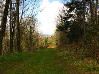 Old Road (on map)