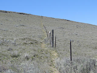 Trail along fence towards high point on Yakima Skyline ridge.