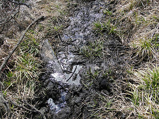 A mud spot just before the Twin Springs horse drinking area.
