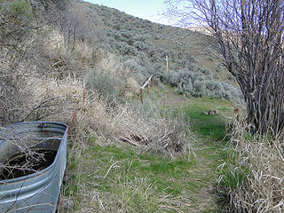 Twin springs horse drinking area.