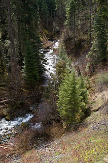 View along the West Fork Rapid River Trail, Seven Devils Mountains, Idaho.