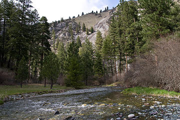 West Fork Rapid River near camp at Potters Flat, Seven Devils Mountains, Idaho.