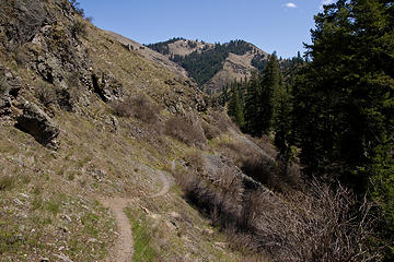 View along the West Fork Rapid River Trail, Seven Devils Mountains, Idaho.