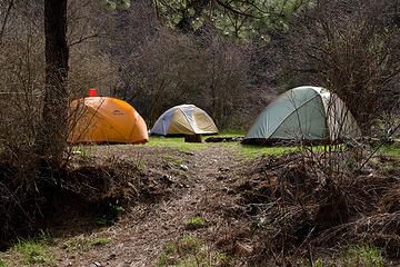 Camp at Potters Flat along the West Fork Rapid River Trail, Seven Devils Mountains, Idaho.