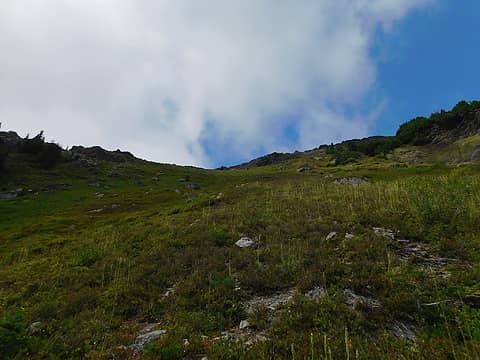 looking up to the ridgeline over the last meadow section