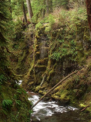 Cliffs towering over the Sol Duc River. Taken on the bridge over Sol Duc Falls, looking downstream.