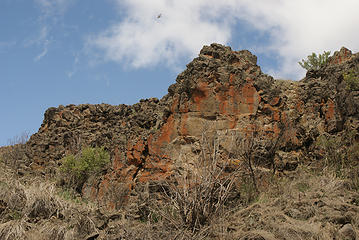 Lichen covered rock outcroppings