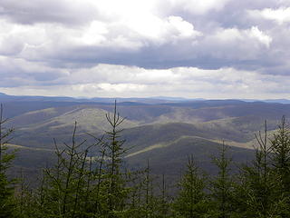 looking southeast from the one limited view of Gaudineer Knob