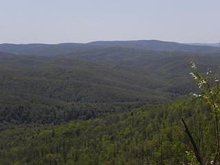 view of Burner and Braucher area from private land clearcut on Allegheny Trail west of Wildell