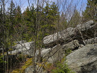 cool rocks and red spruce forest north of Johns Run Shelter on the Allegheny Trail.  No views here.
