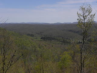 Rich and Middle Mountain area from a partial view west of Wildell on the Allegheny Trail on Shavers Mountain