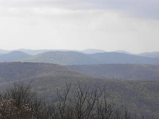looking southwest into Monongahela National Forest from near Spruce Knob