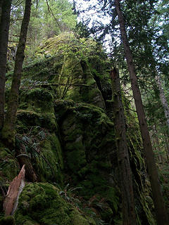 Mossy rock on Little Si trail
