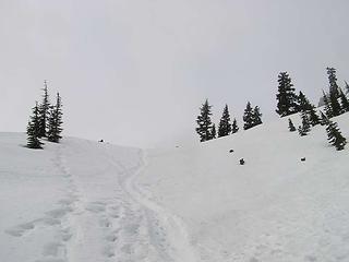 Looking up towards the ridge to head to Pineapple Pass