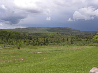 bog view in Canaan Valley State Park