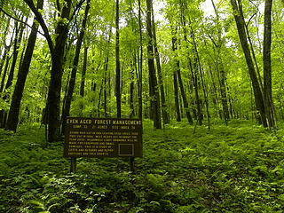 Fernow Experimental Forest