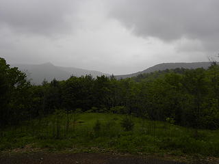 wildlife meadow on FR 396 on Shenandoah Mountain in rain
