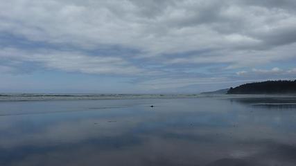 Reflecting on a beach