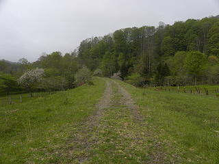 old pasture/open area at Beulah on Allegheny Trail / High Falls Trail on West Fork Greenbrier River rail-trail